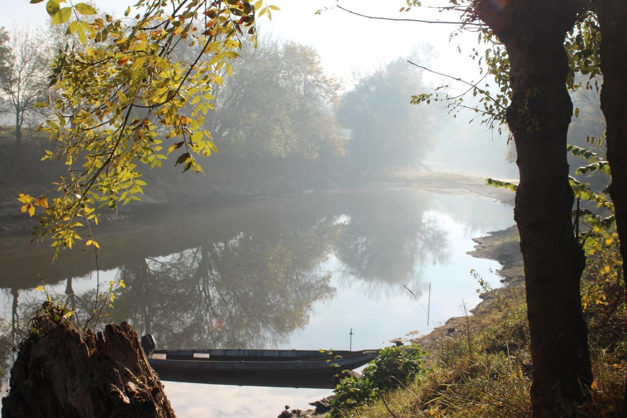 Murmures De Loire Montjean-sur-Loire Luaran gambar