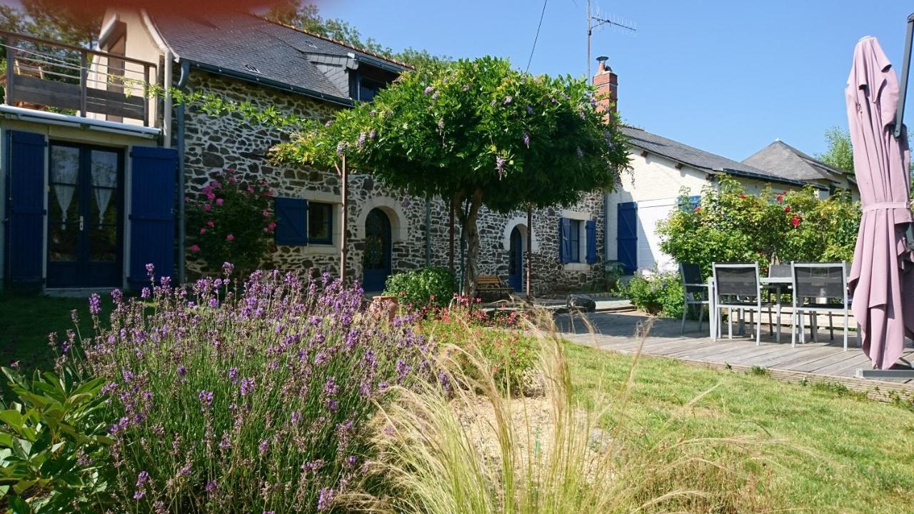 Murmures De Loire Montjean-sur-Loire Luaran gambar